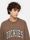 DICKIES DK0A4XABJ961