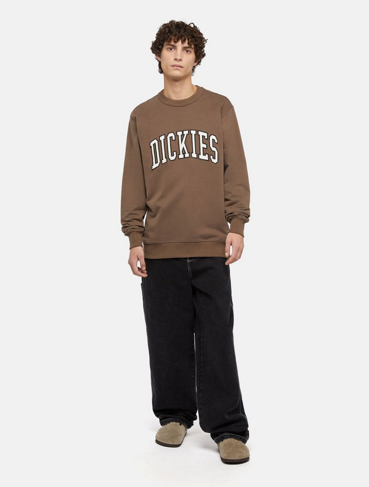 DICKIES DK0A4XABJ961