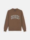 DICKIES DK0A4XABJ961