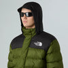 THE NORTH FACE NF0A89EGBRI