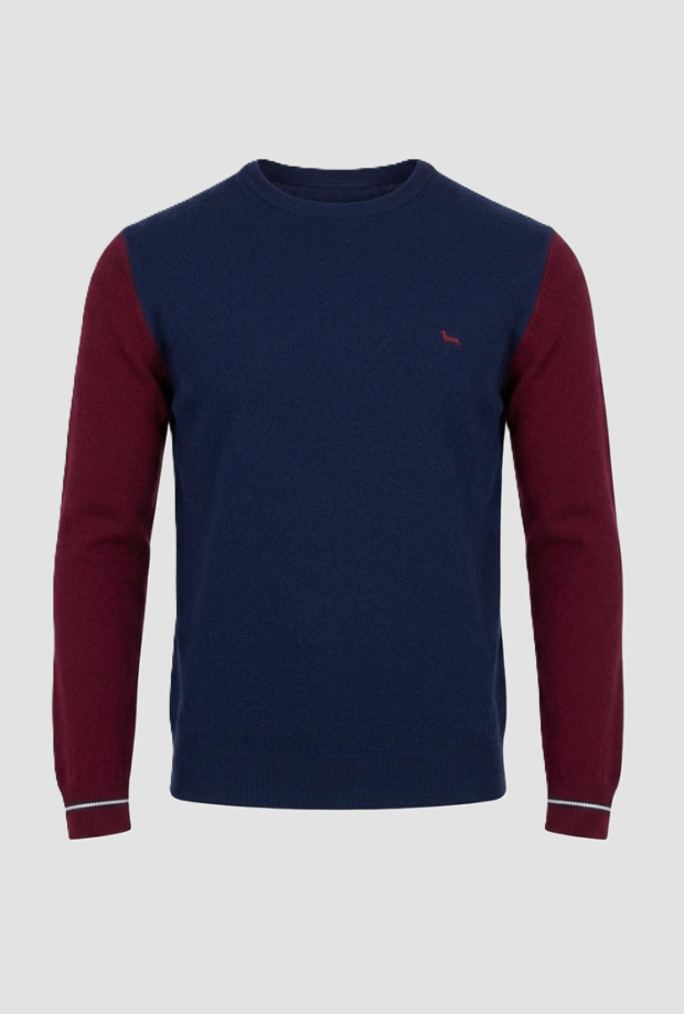 Maglia con maniche a contrasto uomo blu 