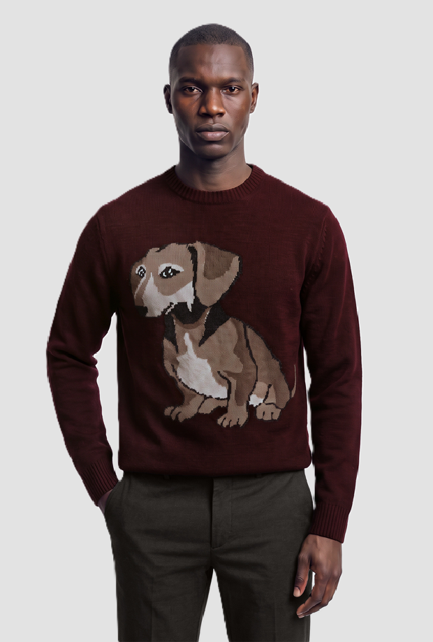 Pullover con stampa uomo bordeaux 