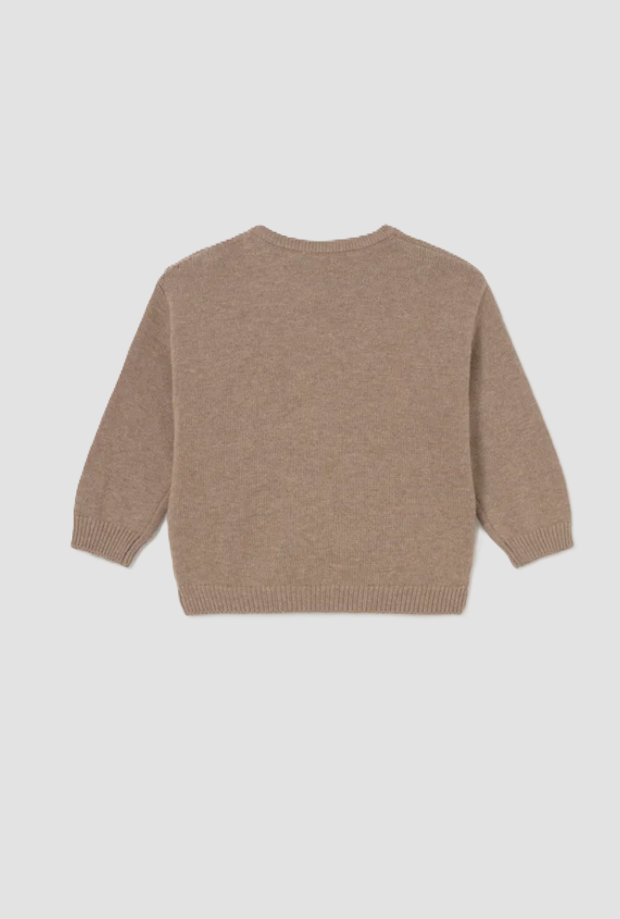 Maglione intarsi con dinosauri bambino marrone 