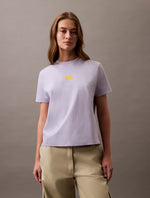 CALVIN KLEIN LV047B851GVVH