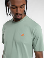 DICKIES DK0A4XDBK361