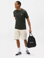 DICKIES DK0A4XDBOGX1