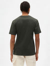 DICKIES DK0A4XDBOGX1