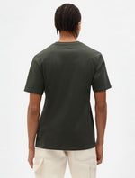 DICKIES DK0A4XDBOGX1
