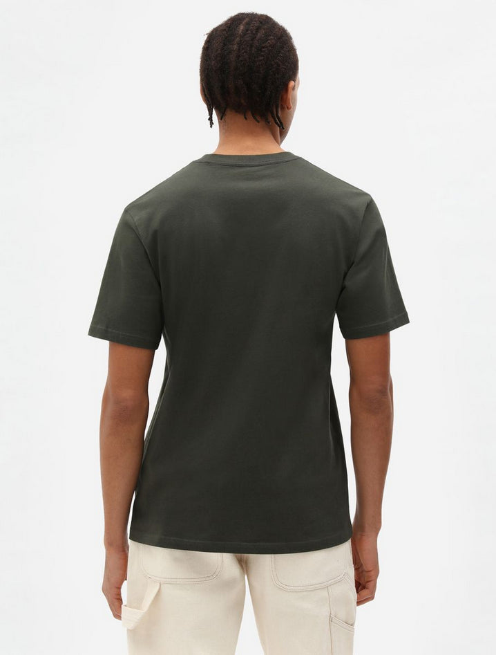 DICKIES DK0A4XDBOGX1