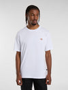 DICKIES DK0A4XDBWHX1