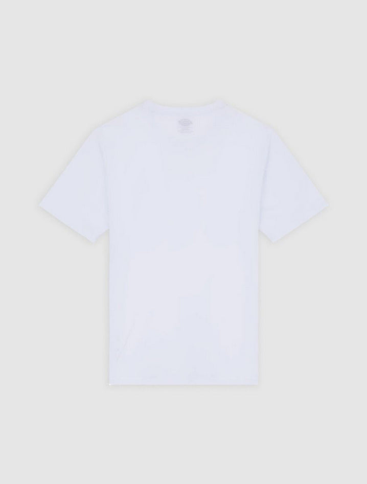 DICKIES DK0A4XDBWHX1