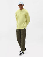 DICKIES DK0A4XDUMGR1