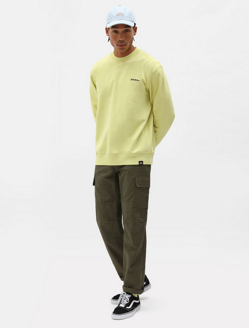 DICKIES DK0A4XDUMGR1