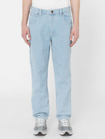 DICKIES DK0A4XECC151