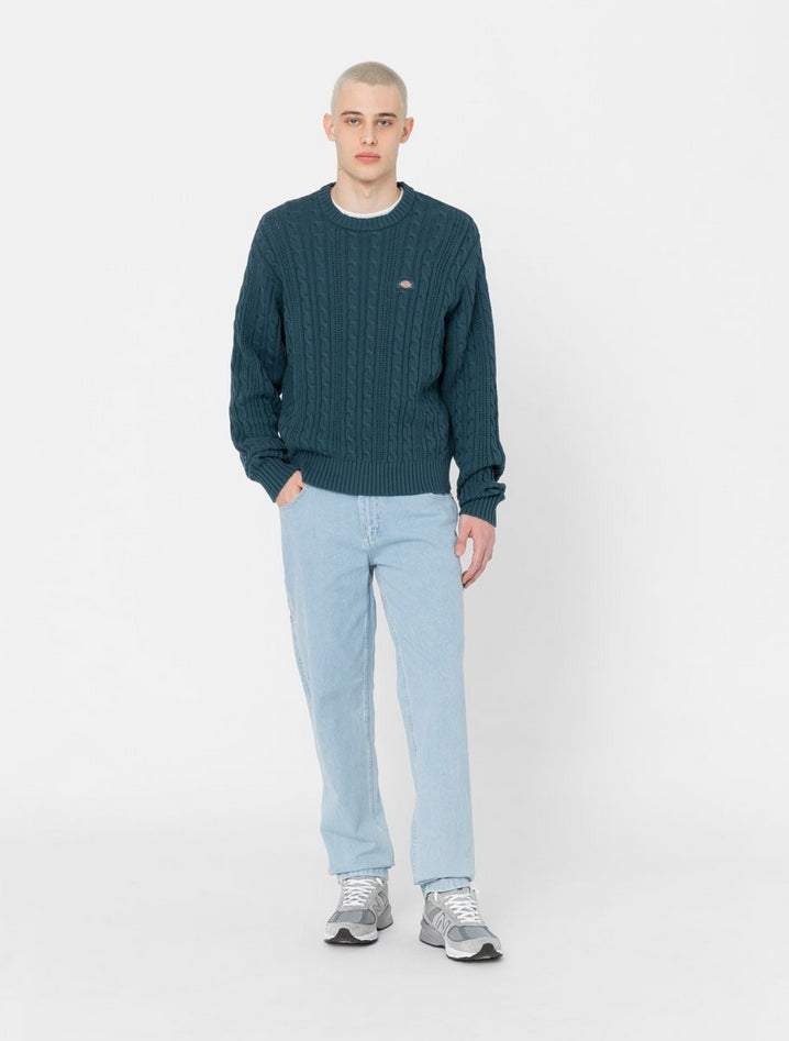DICKIES DK0A4XECC151
