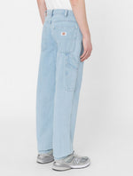 DICKIES DK0A4XECC151
