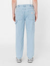 DICKIES DK0A4XECC151