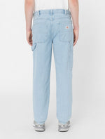 DICKIES DK0A4XECC151