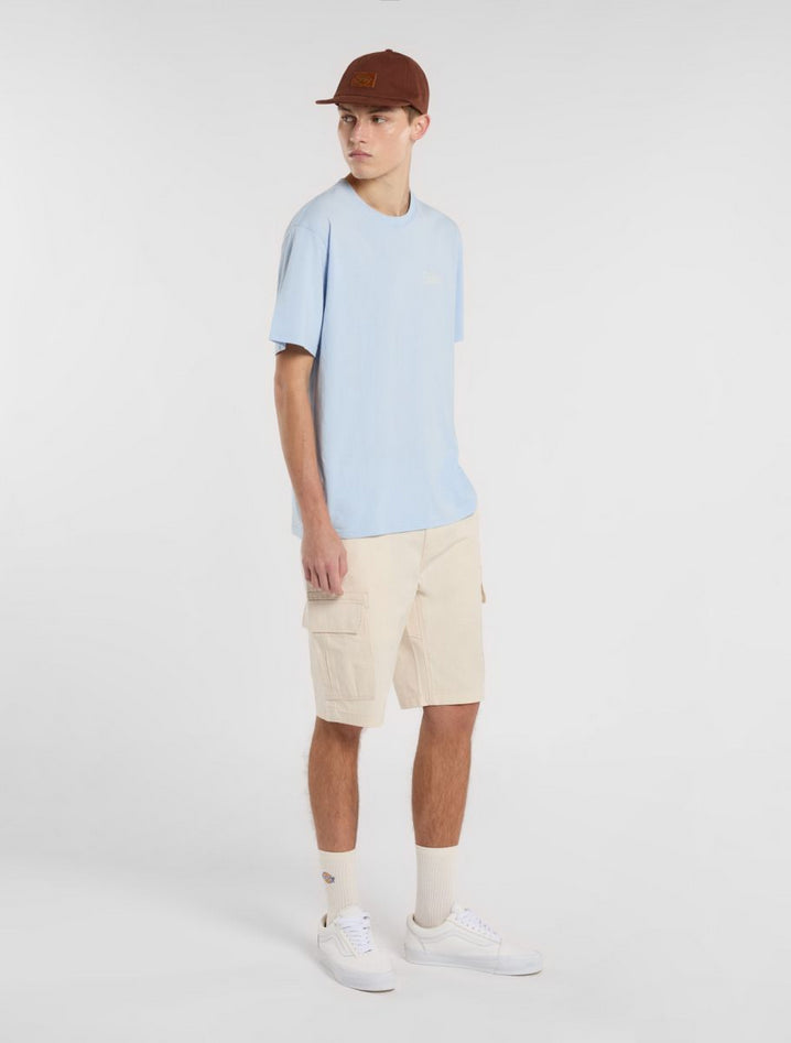 DICKIES DK0A4XEDF901