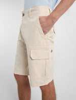 DICKIES DK0A4XEDF901