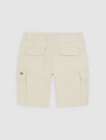 DICKIES DK0A4XEDF901