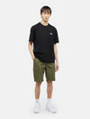 DICKIES DK0A4XEDMGR1
