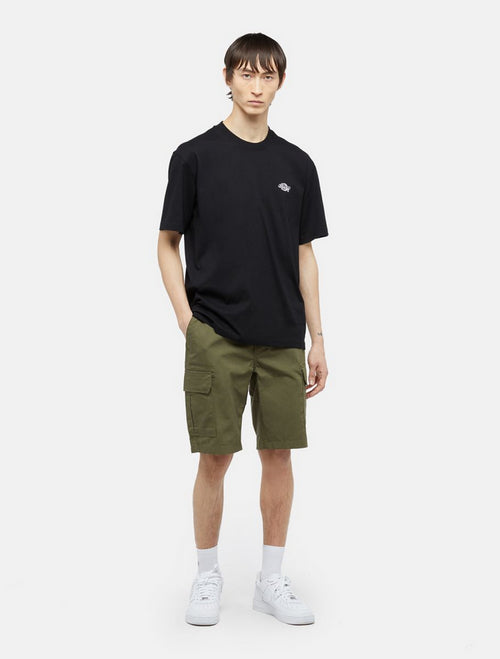 DICKIES DK0A4XEDMGR1