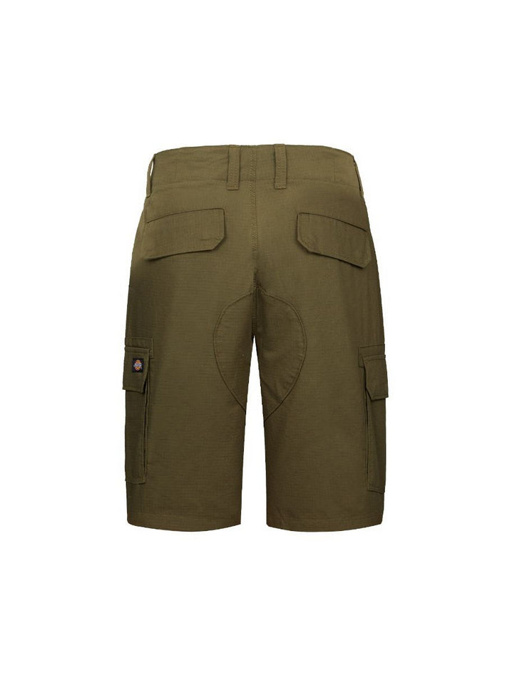 DICKIES DK0A4XEDMGR1