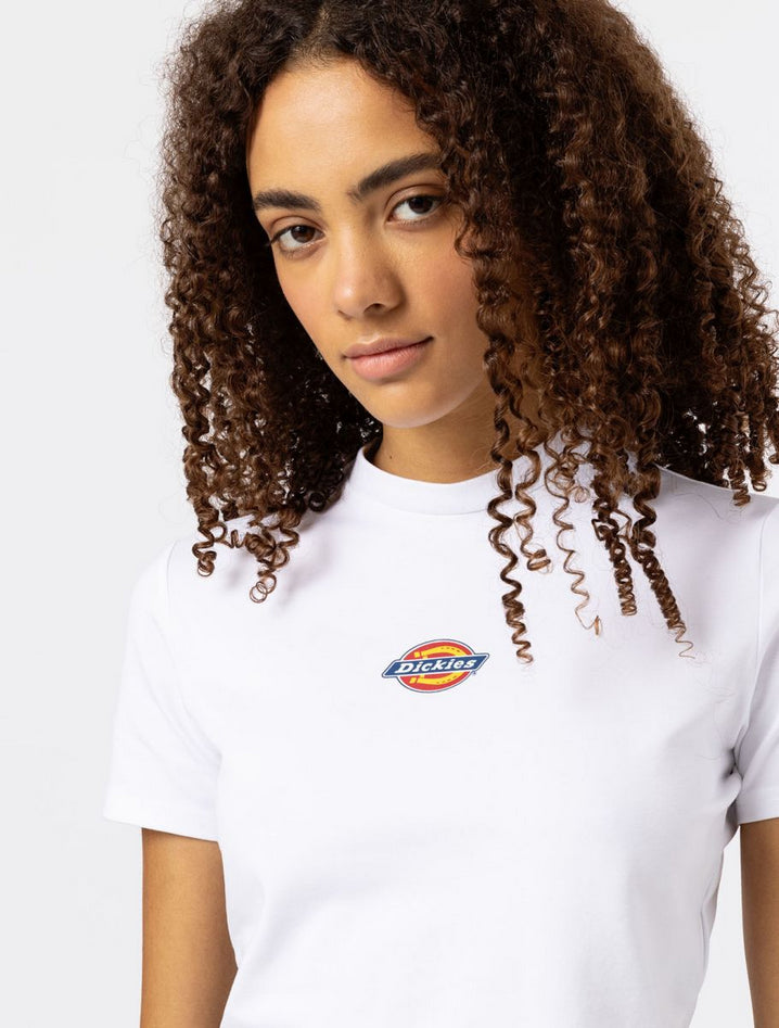 DICKIES DK0A4XPOWHX1