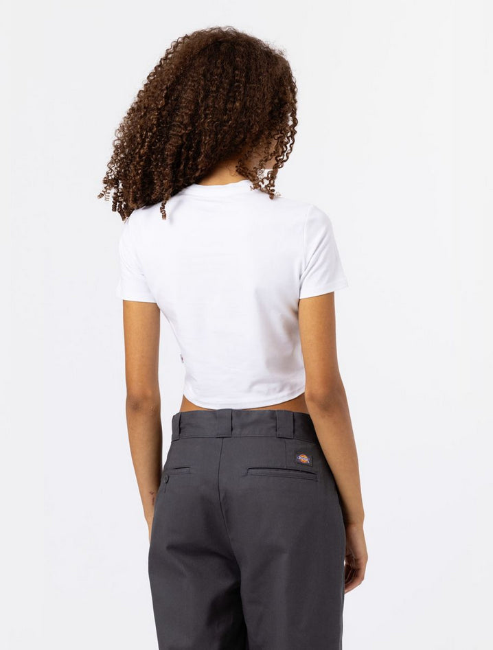 DICKIES DK0A4XPOWHX1