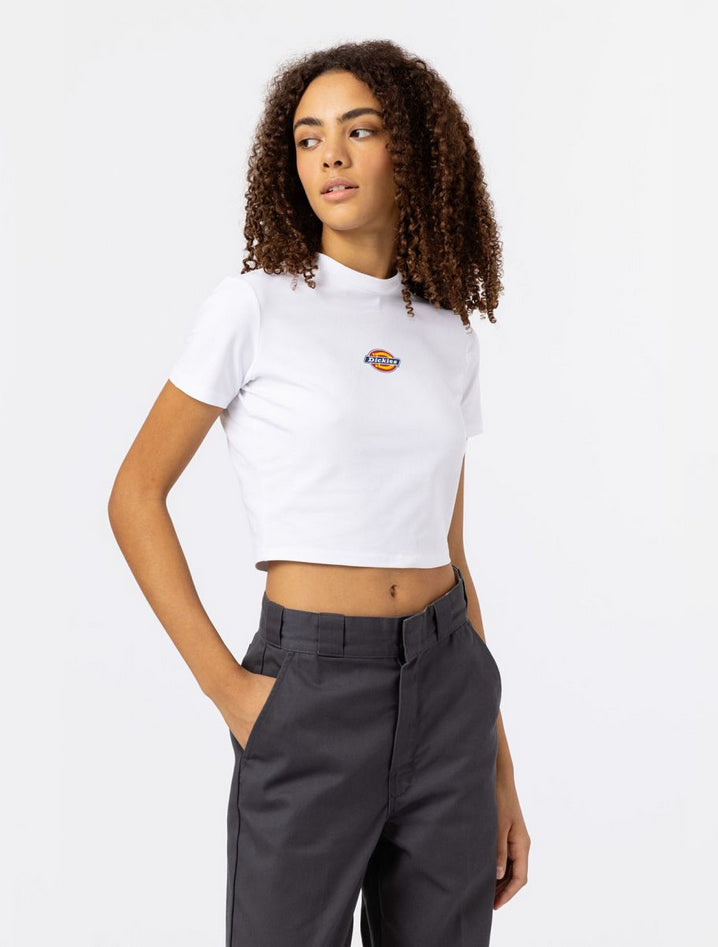 DICKIES DK0A4XPOWHX1