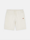 DICKIES DK0A4Y83ECR1