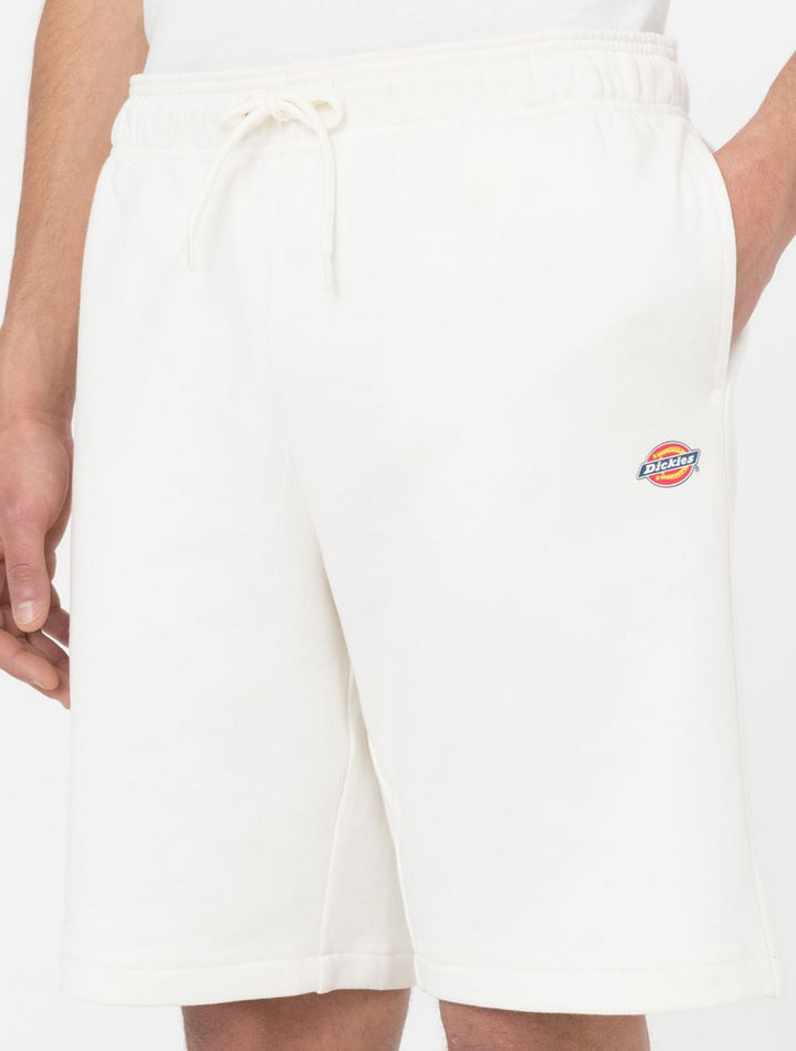 DICKIES DK0A4Y83ECR1