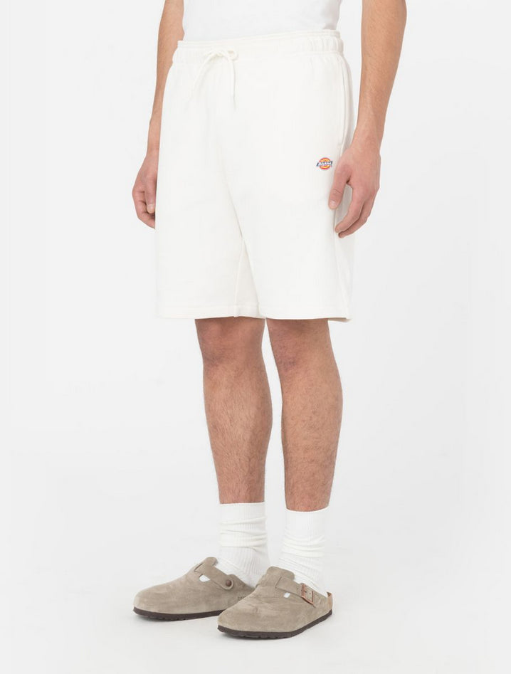 DICKIES DK0A4Y83ECR1