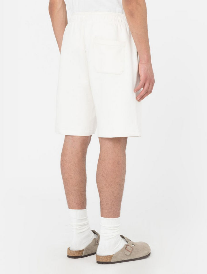 DICKIES DK0A4Y83ECR1