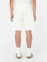 DICKIES DK0A4Y83ECR1