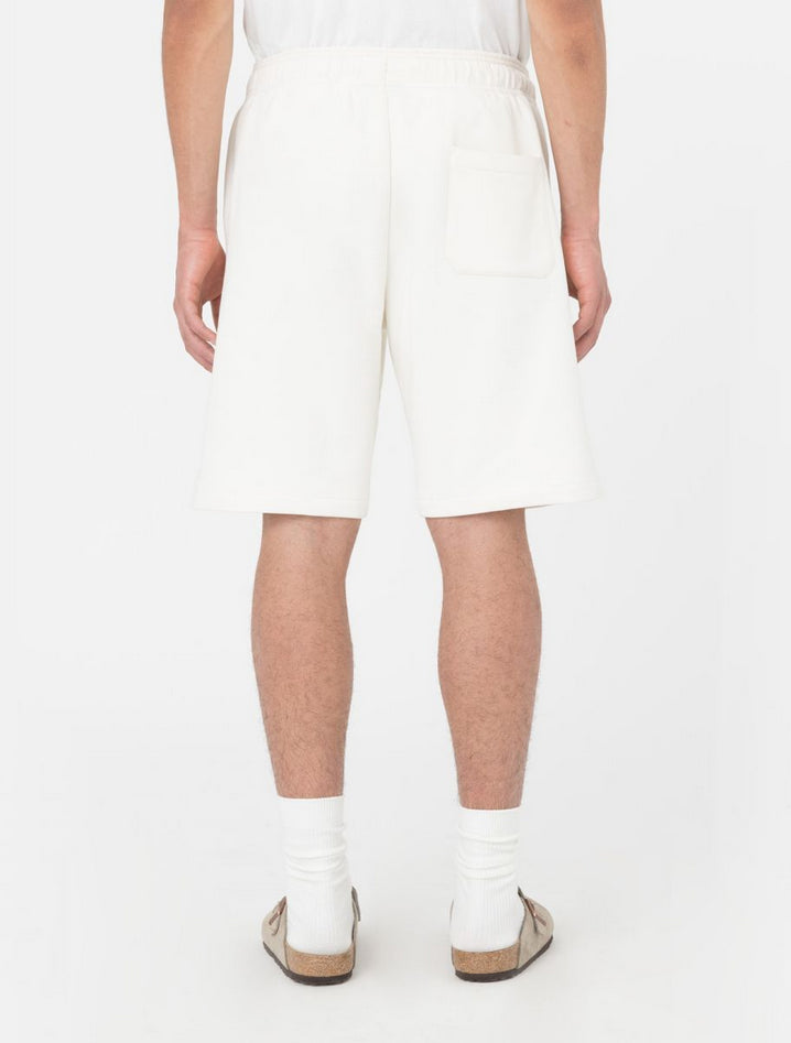 DICKIES DK0A4Y83ECR1