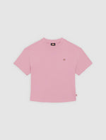 DICKIES DK0A4Y8LK391