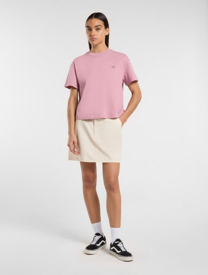 DICKIES DK0A4Y8LK391