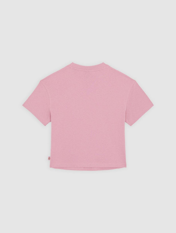 DICKIES DK0A4Y8LK391