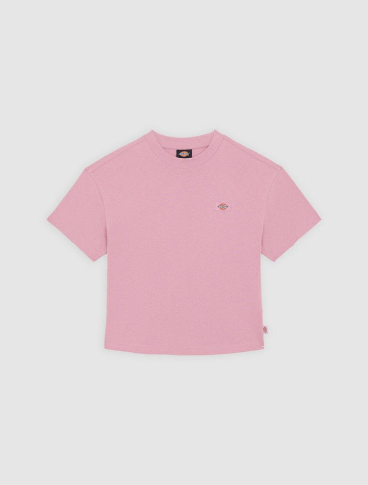 DICKIES DK0A4Y8LK391