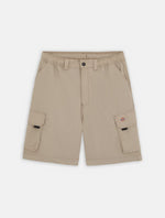 DICKIES DK0A4YACSS01