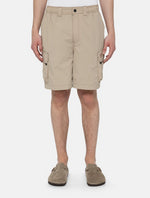 DICKIES DK0A4YACSS01