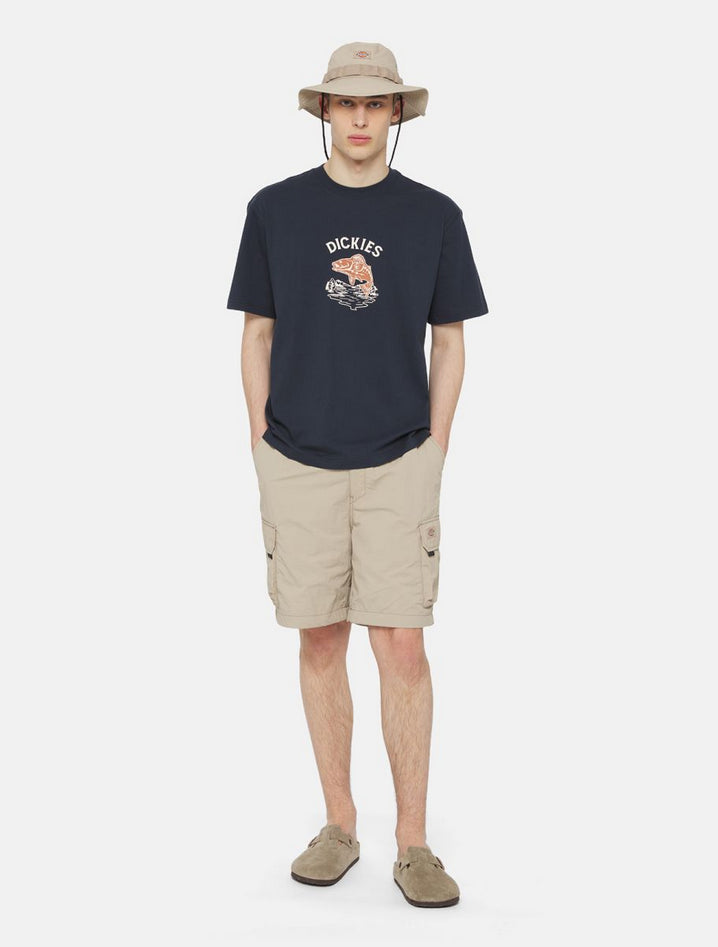 DICKIES DK0A4YACSS01