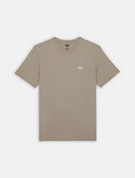 DICKIES DK0A4YAISS01