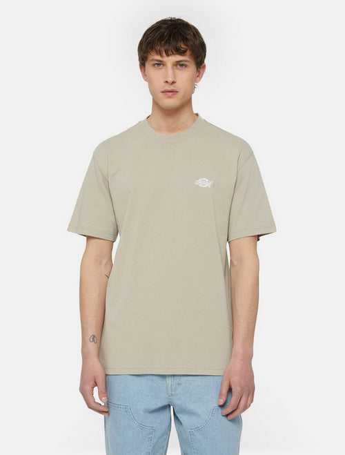 DICKIES DK0A4YAISS01