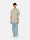 DICKIES DK0A4YAISS01