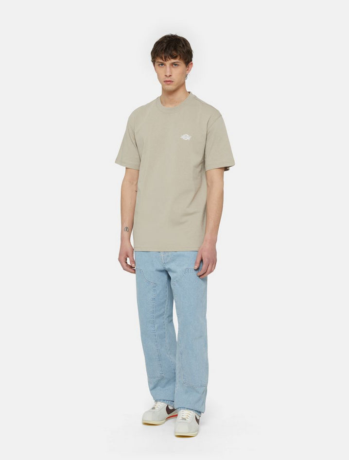 DICKIES DK0A4YAISS01