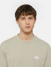 DICKIES DK0A4YAISS01