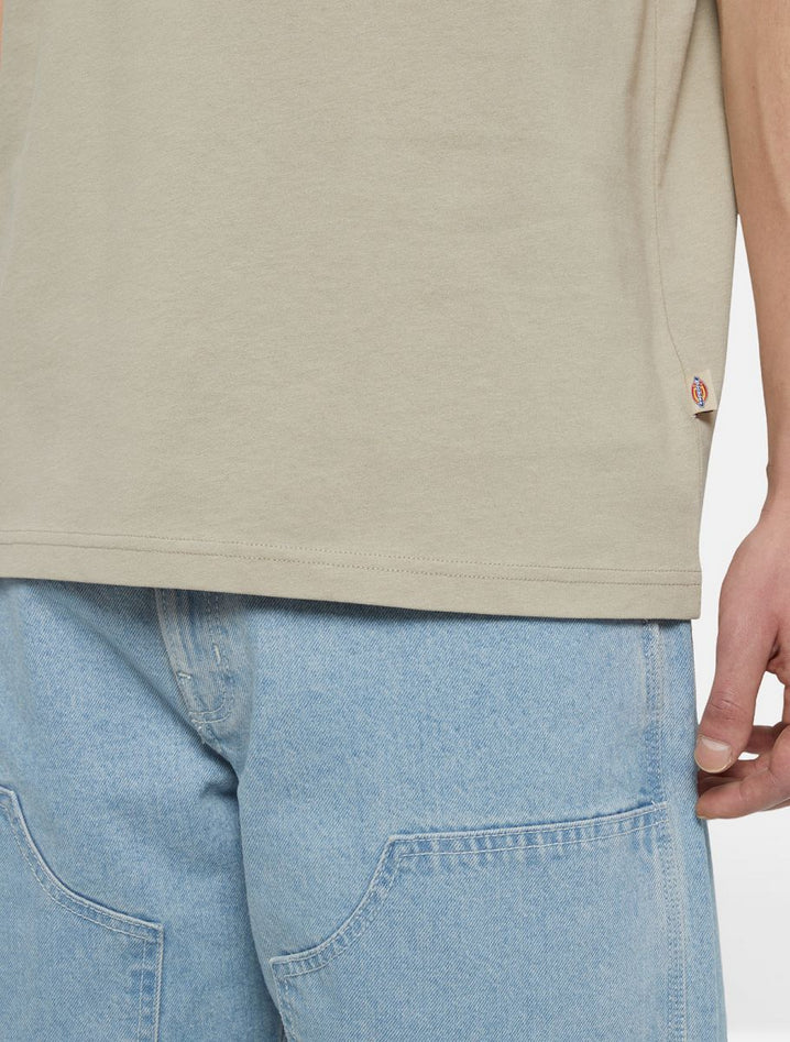 DICKIES DK0A4YAISS01